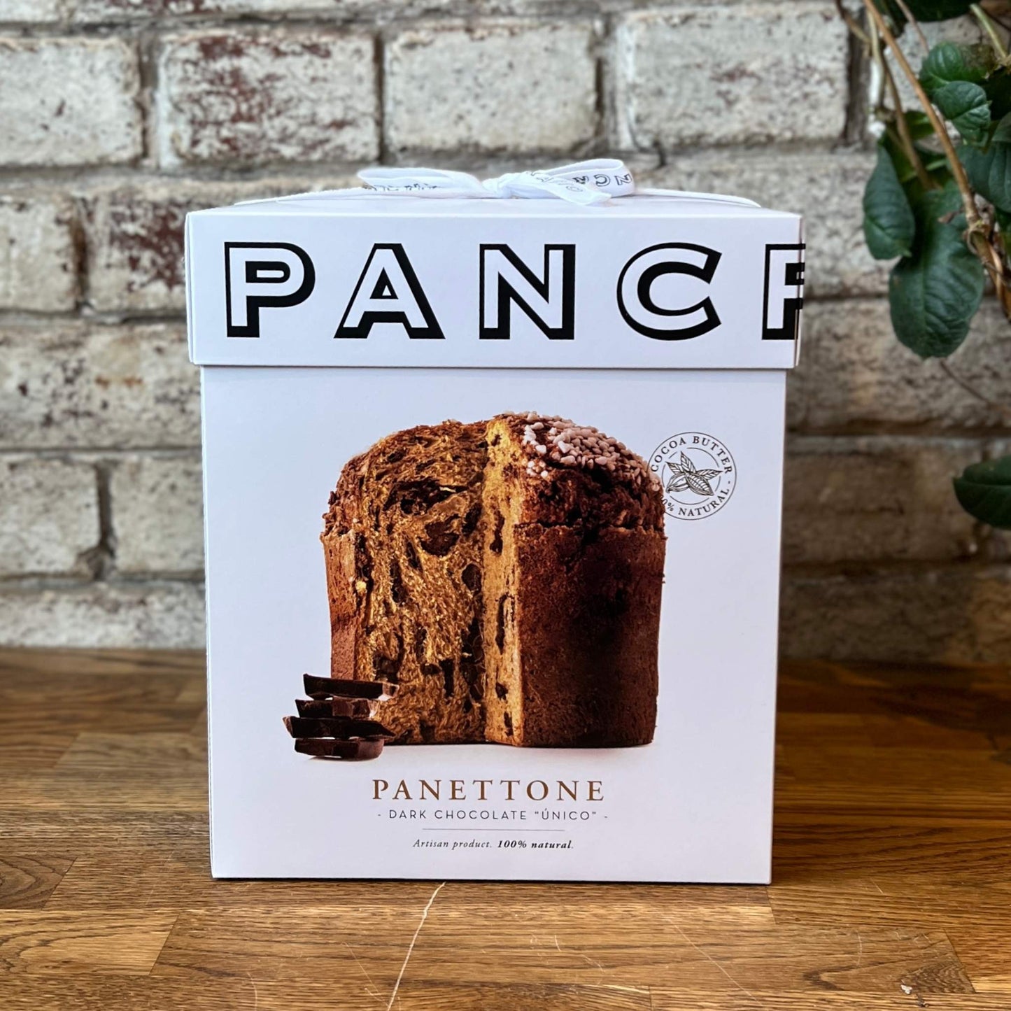 Pancracio Panettone w/ Dark Chocolate
