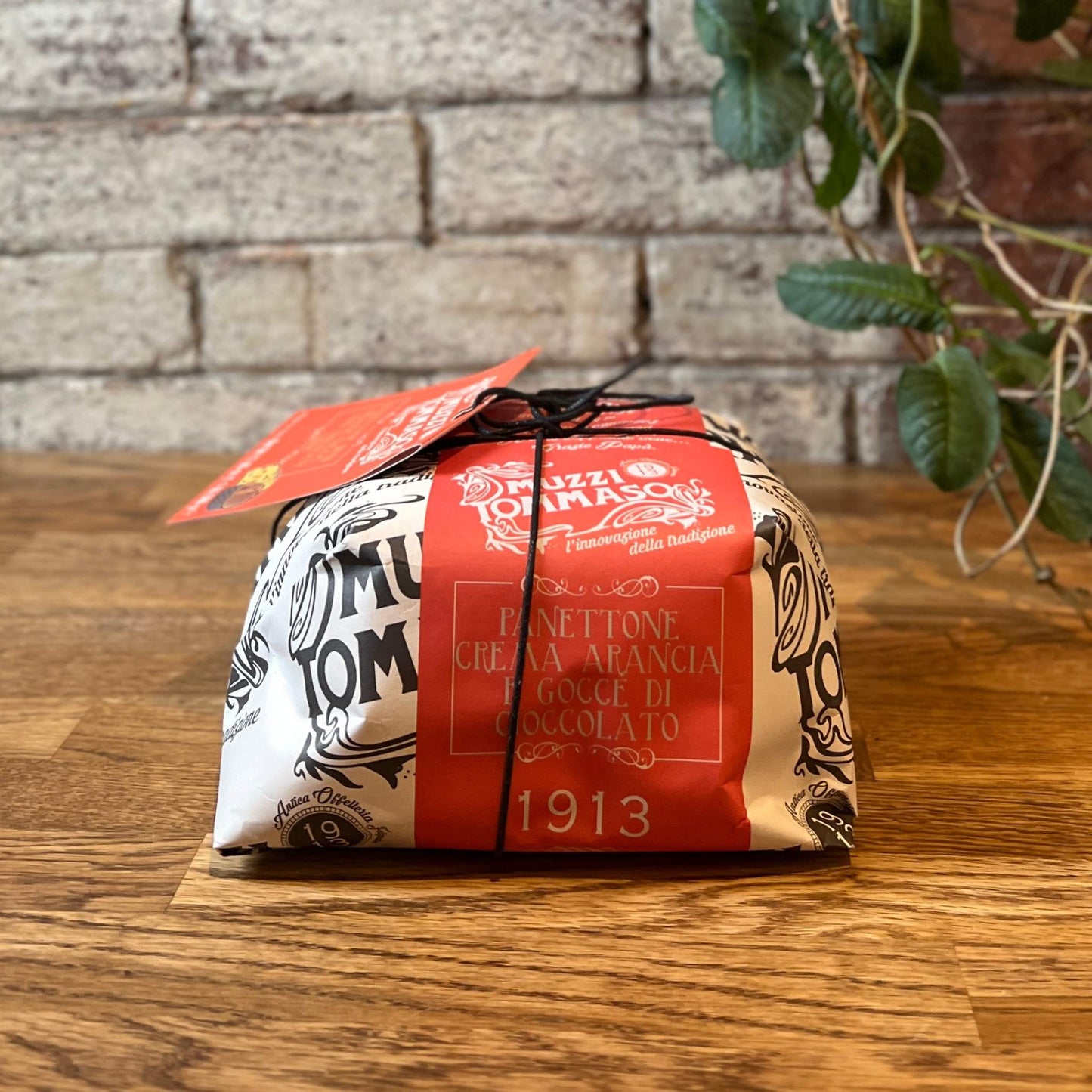 Muzzi Tommaso Panettone w/ Orange Cream & Chocolate Chips