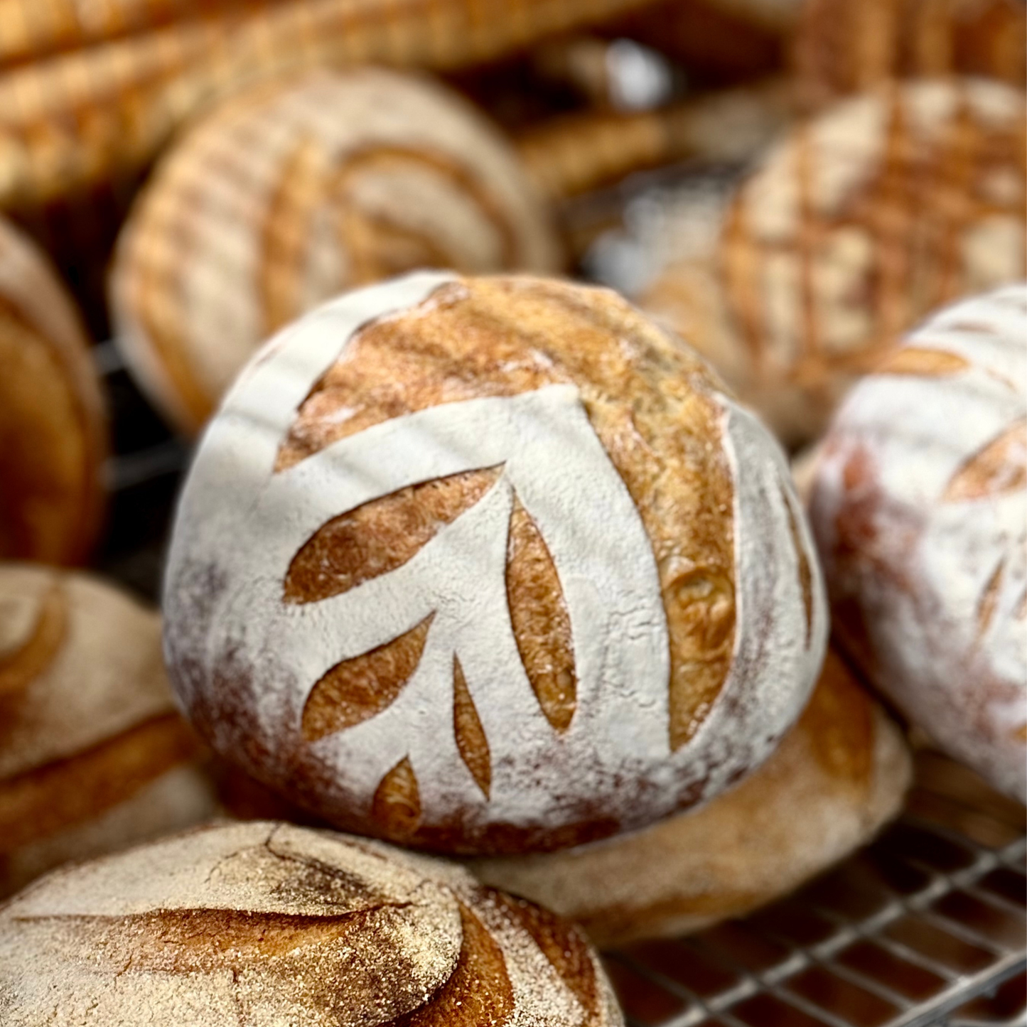 Sourdough Loaf