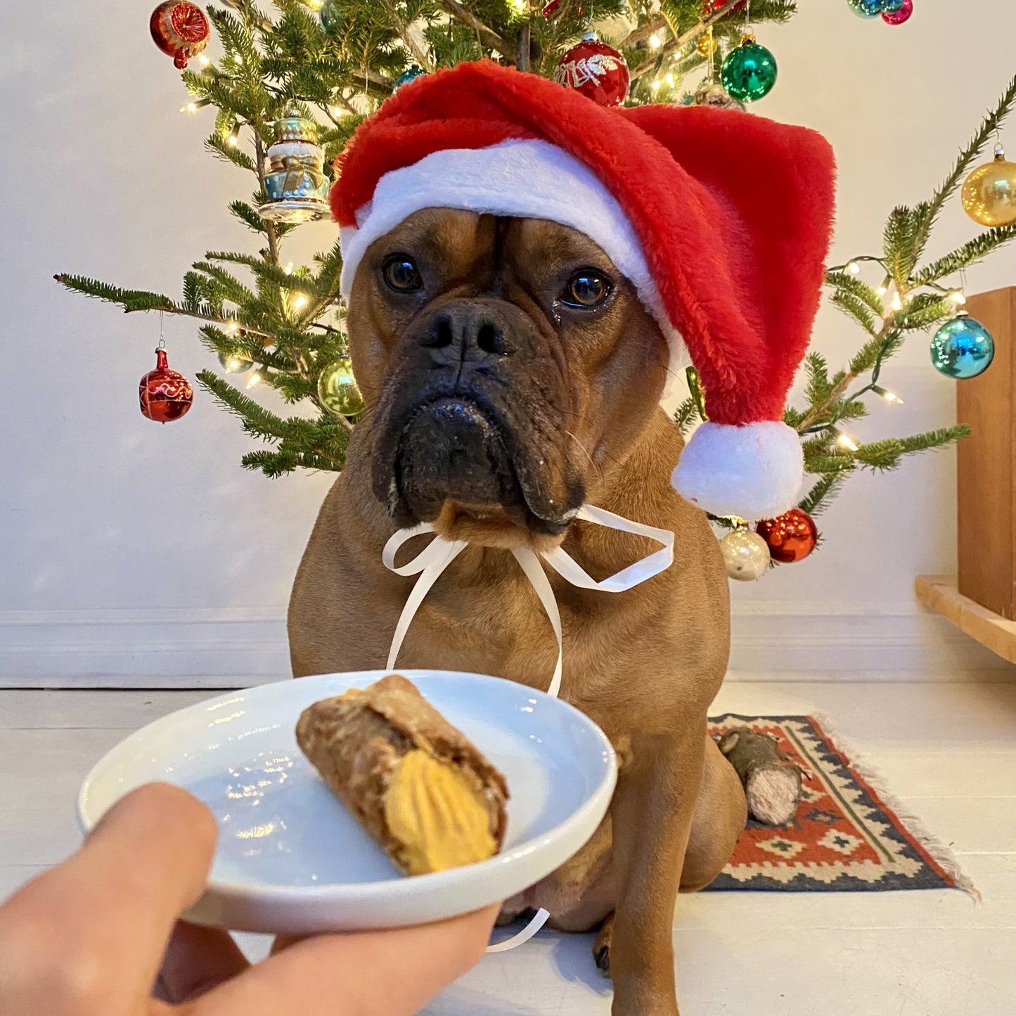 Dog Cannoli Treats