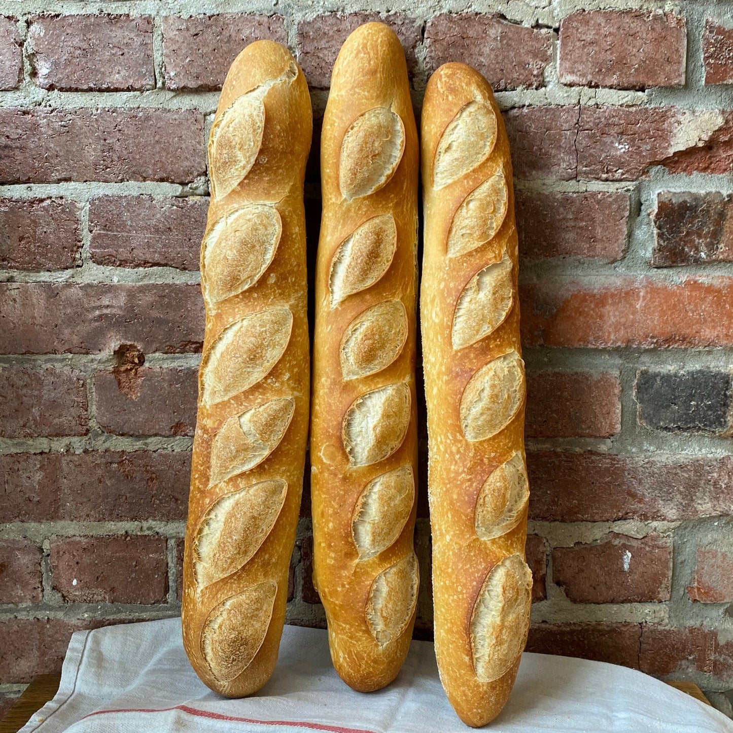 Vienna Bread (Sold Individually)