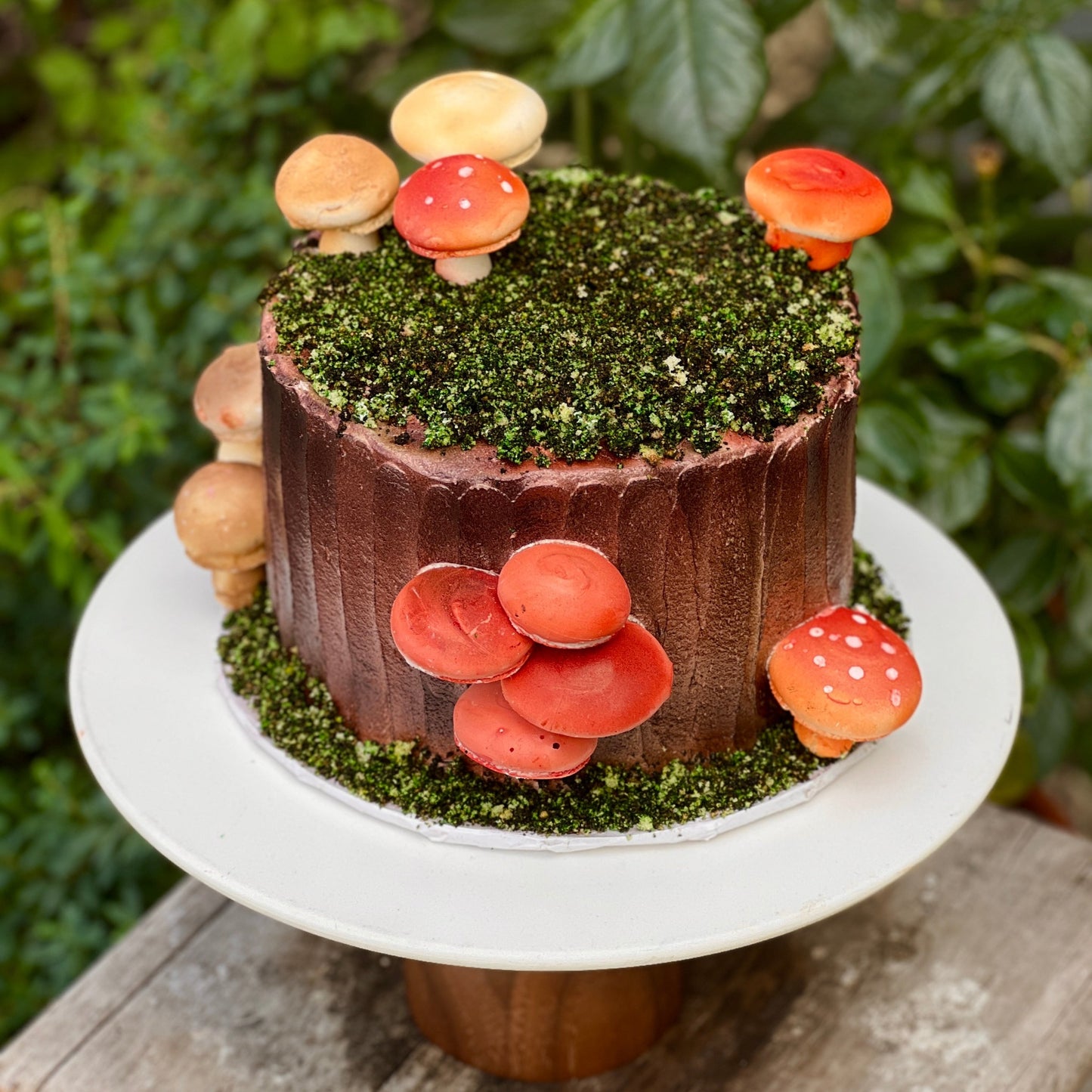 Mushroom themed cake with brown base