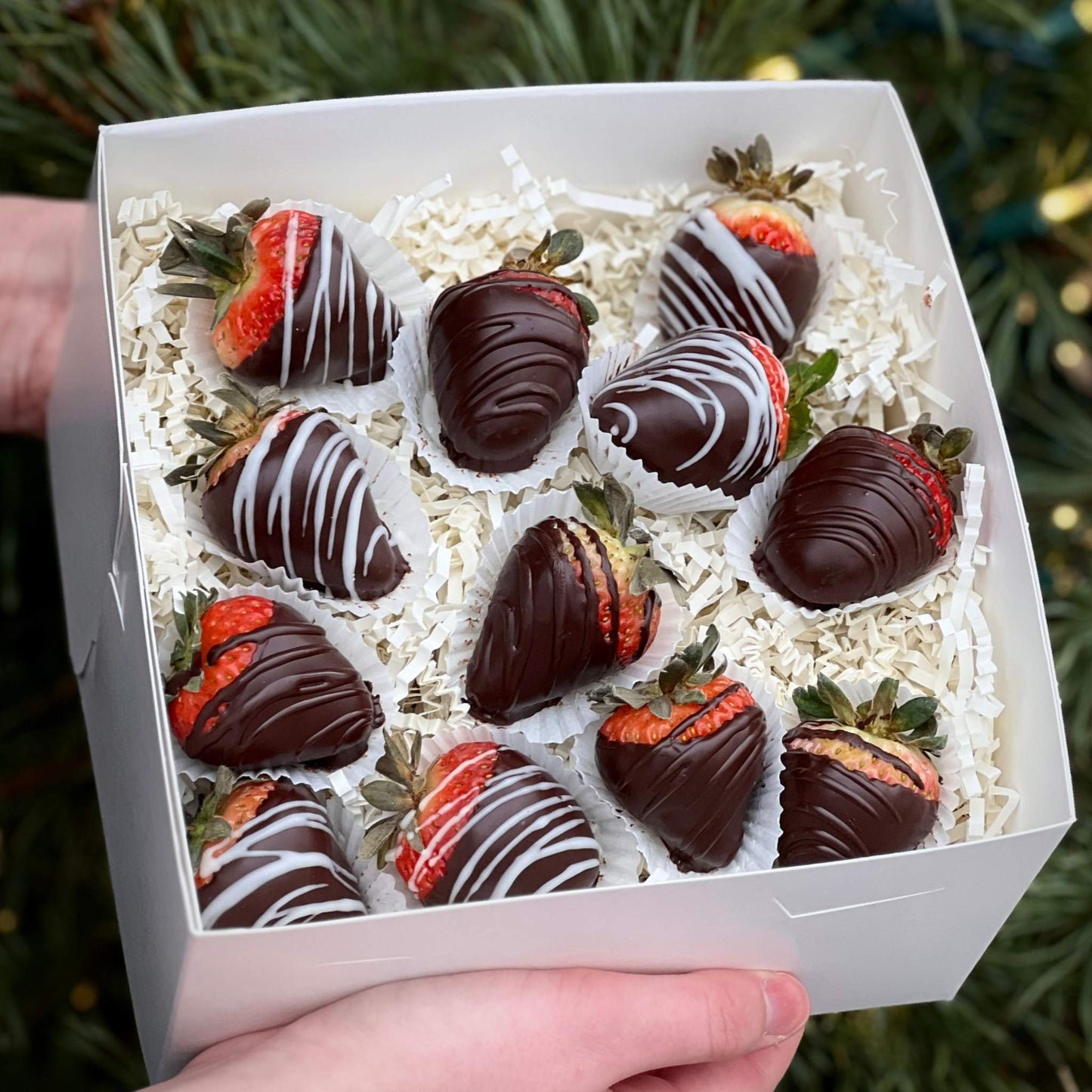 Chocolate Covered Strawberries