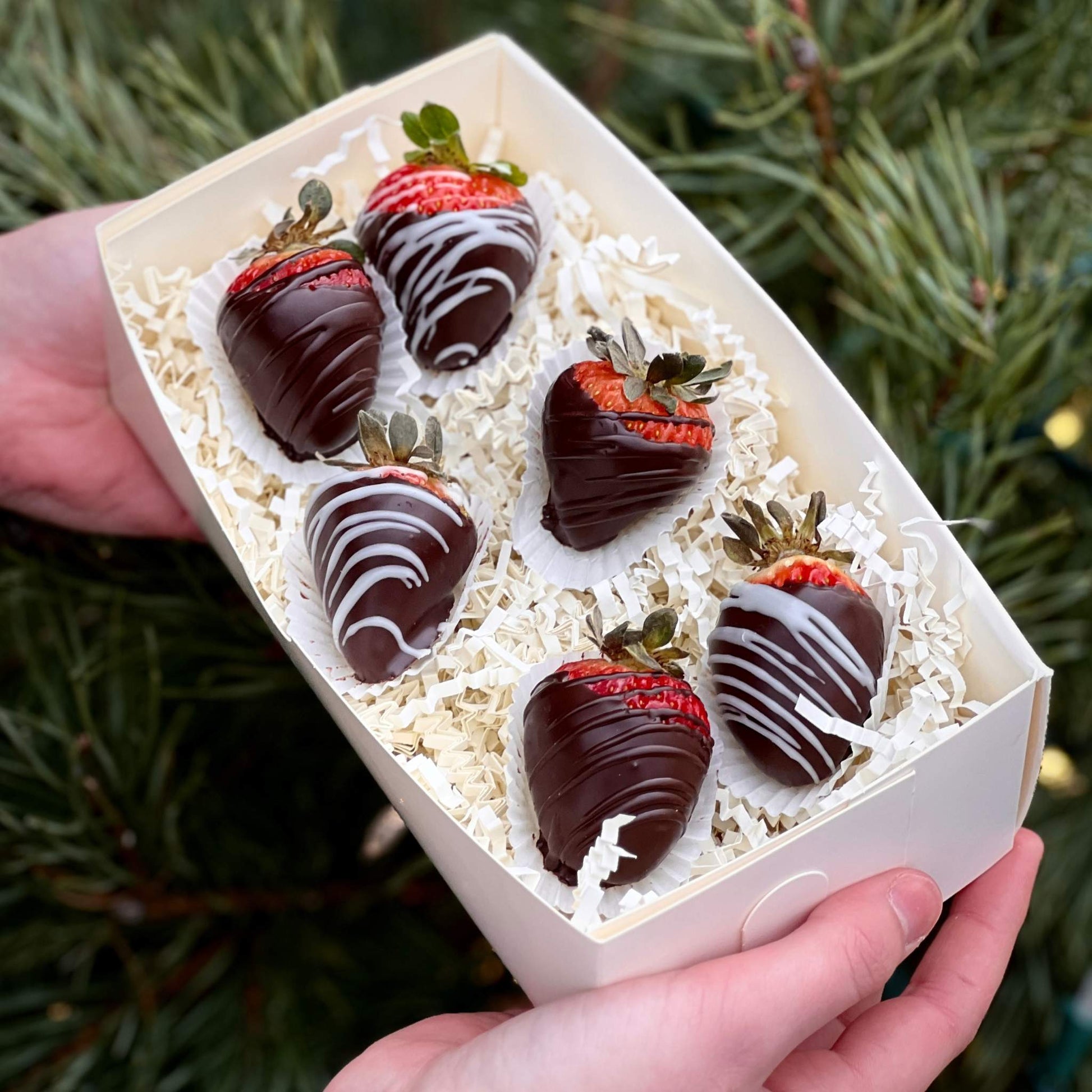 Chocolate Covered Strawberries