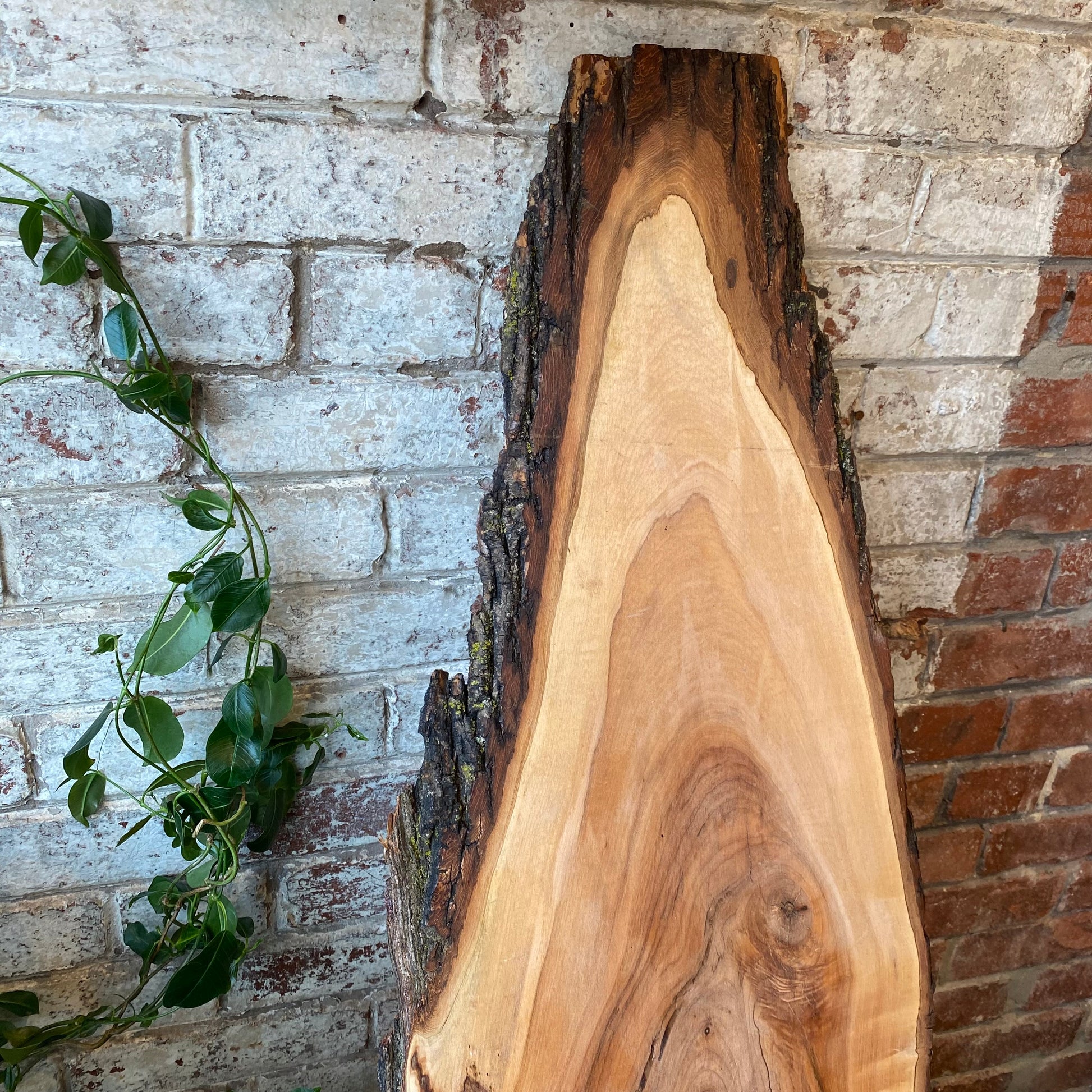 Live Edge Wood Charcuterie Board