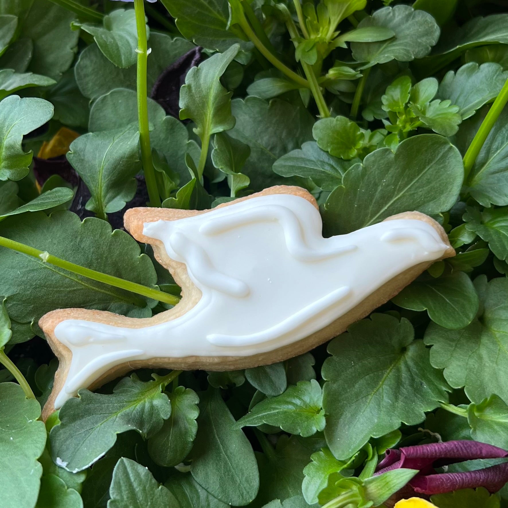 Dove Religious Butter Cookies