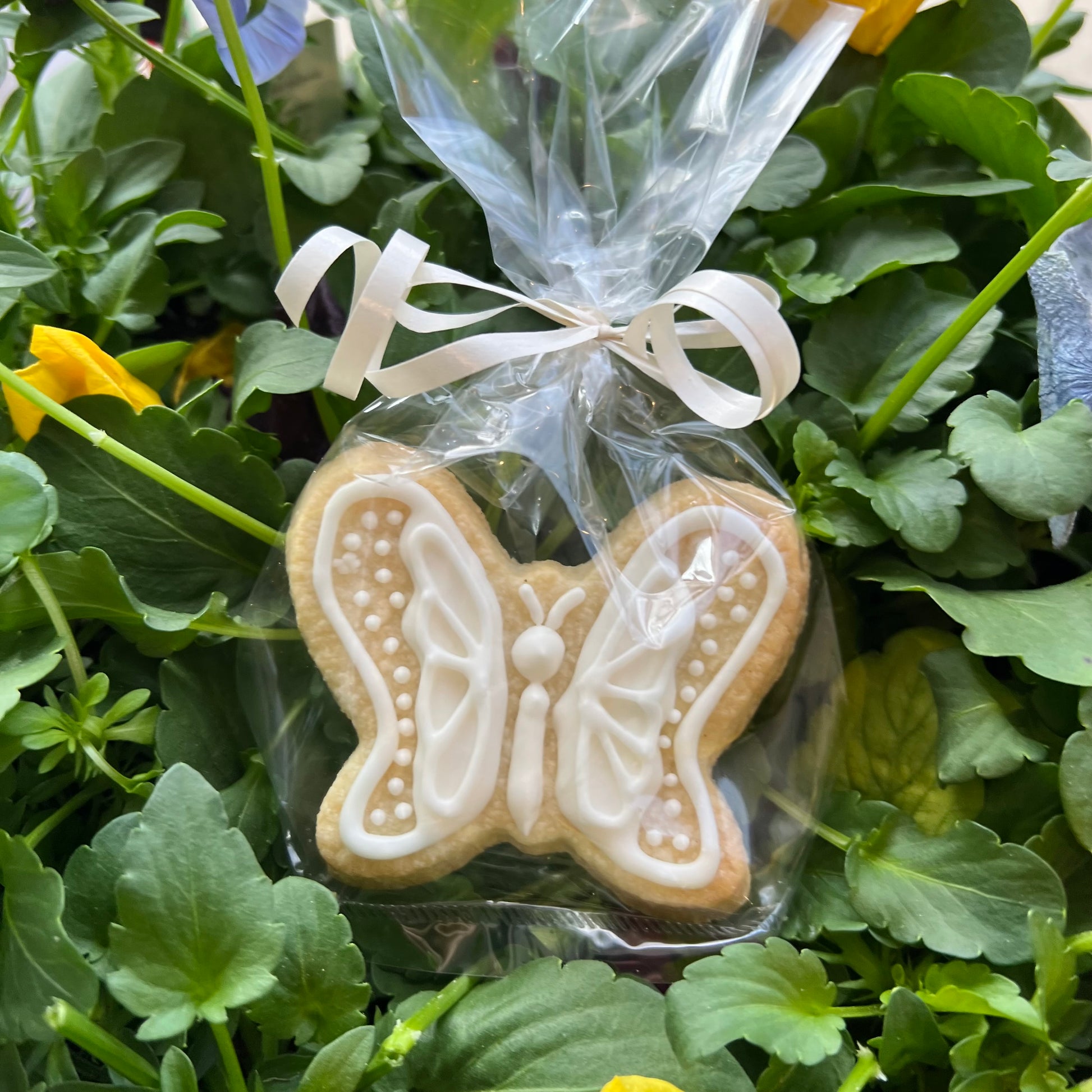 Butterfly Religious Butter Cookies