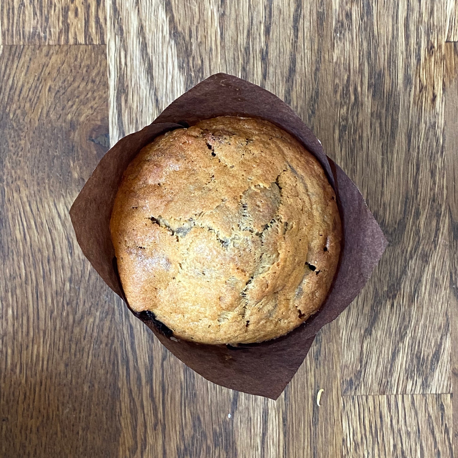 Blueberry Muffin